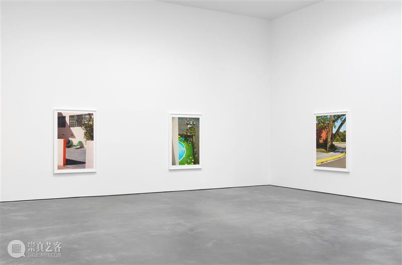《W》杂志专访 | 与威廉·埃格尔斯顿共度的下午(William Eggleston) 崇真艺客