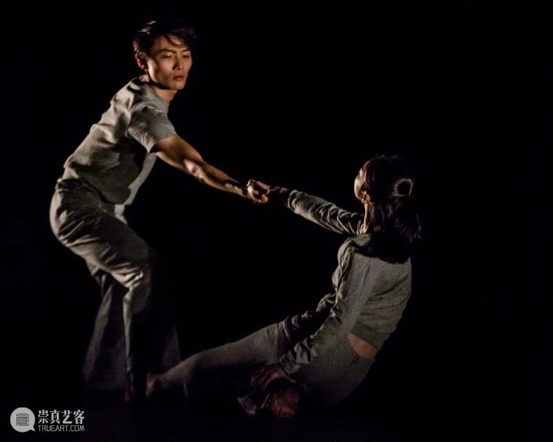 开票 | “探戈”起舞，“野花”盛放，上海金星舞蹈团《海上探戈》《野花》10月上演 上海金星舞蹈团 海上探戈 野花 探戈 上海大剧院 演出季 发布会 快人快语 金星 现场 崇真艺客