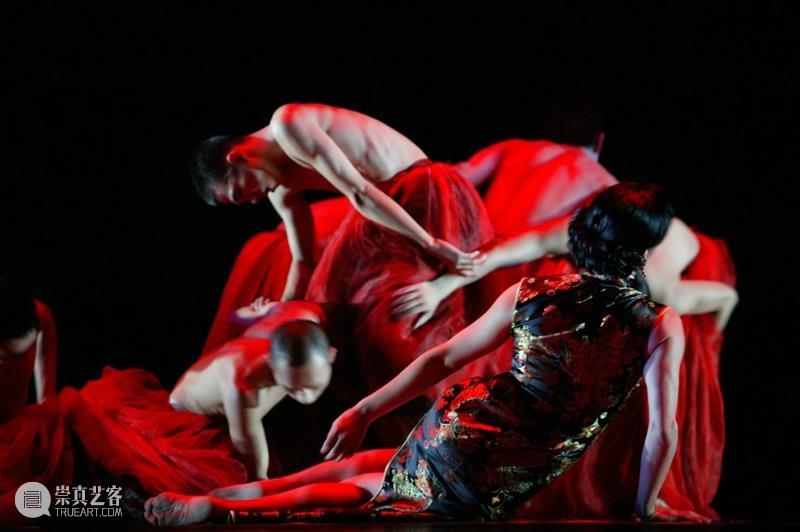 开票 | “探戈”起舞，“野花”盛放，上海金星舞蹈团《海上探戈》《野花》10月上演 上海金星舞蹈团 海上探戈 野花 探戈 上海大剧院 演出季 发布会 快人快语 金星 现场 崇真艺客