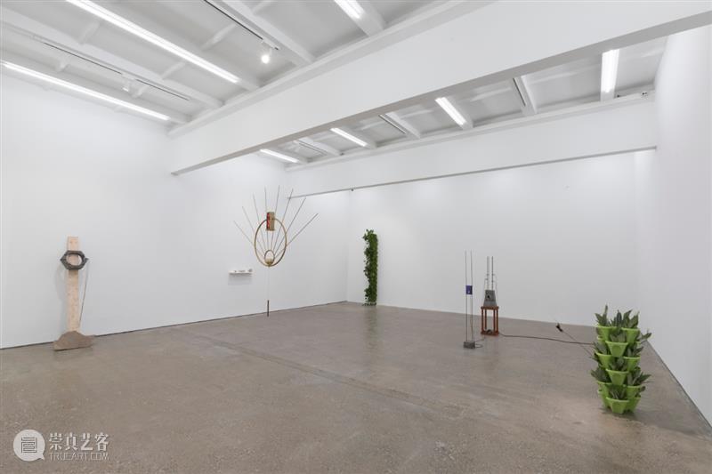 Exhibitioin | Guo Cheng, Yang Guangnan Duo Solo Exhibitioin Cheng Yang Duo Solo Guangnan Monet Garden Roman residential 崇真艺客