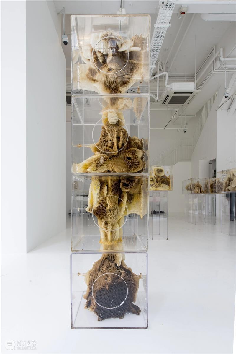 藝術門画廊线上展厅 | Immaterial Means 藝術門画廊 线上 展厅 Means 嘉多特 吉尔多 世界 丙烯 织物 棉线 崇真艺客