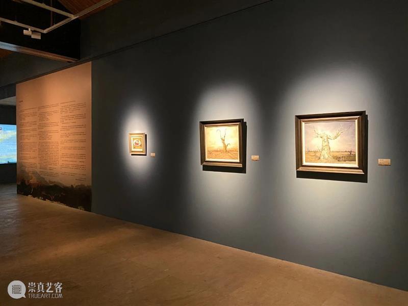 “从艺70年——谢珍珠作品展”今日开展,策展人带你看展览 谢珍珠 作品展 策展人 老师 中间 嘉宾 学子 左右 武汉美术馆 观众 崇真艺客
