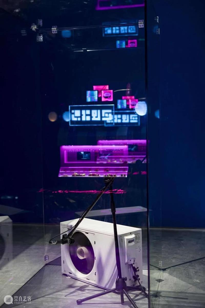 上海9月 | 14个不可错过的新媒体艺术展 崇真艺客