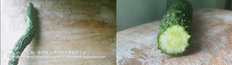 上海9月 | 14个不可错过的新媒体艺术展 崇真艺客