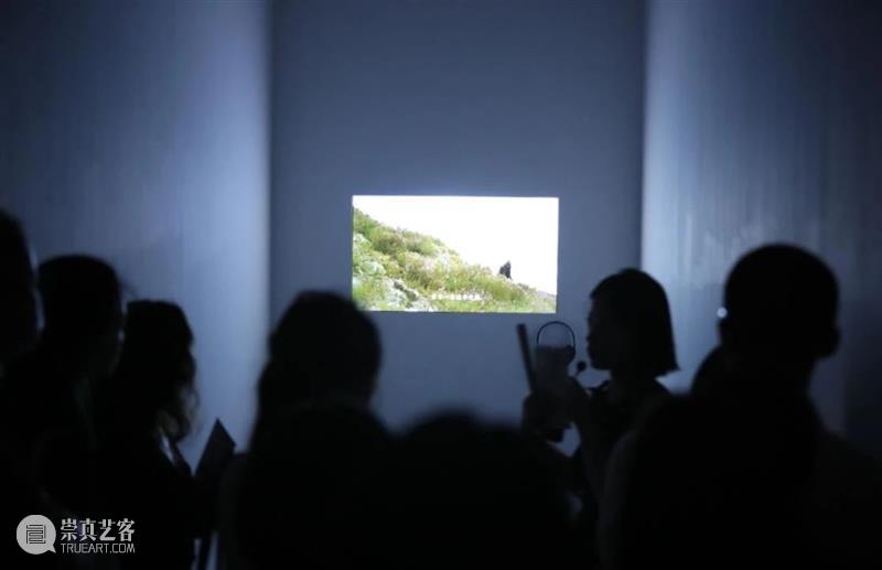 上海9月 | 14个不可错过的新媒体艺术展 崇真艺客