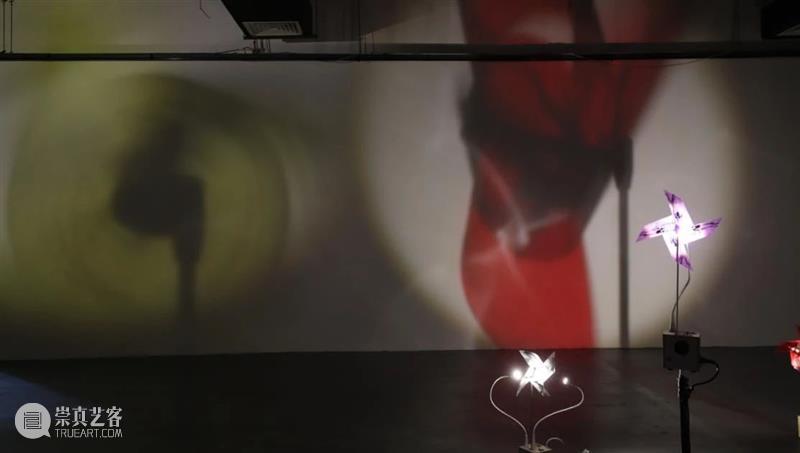 上海9月 | 14个不可错过的新媒体艺术展 崇真艺客