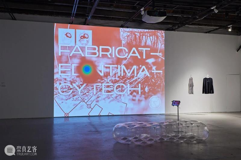 上海9月 | 14个不可错过的新媒体艺术展 崇真艺客