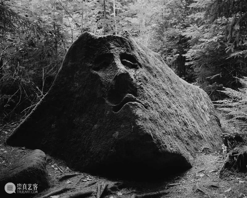 纵使夜幕降临,太阳从未死去 太阳 Zelenkova编者按 布拉格 诗人 Sudek 先锋 艺术家 Funke 捷克 Goldin 崇真艺客