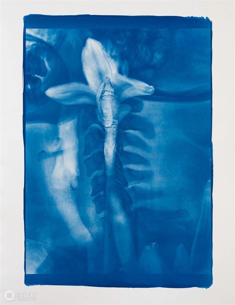 胡为一 ：“积聚与生成——2020上海当代艺术展”参展艺术家 艺术家 上海 艺术展 作品 Works 无痕 液晶显示器 铝合金 窗框 钢化玻璃 崇真艺客