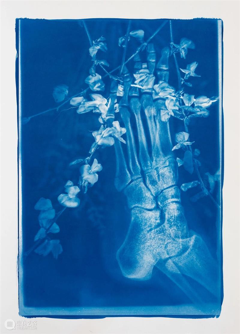 胡为一 ：“积聚与生成——2020上海当代艺术展”参展艺术家 艺术家 上海 艺术展 作品 Works 无痕 液晶显示器 铝合金 窗框 钢化玻璃 崇真艺客