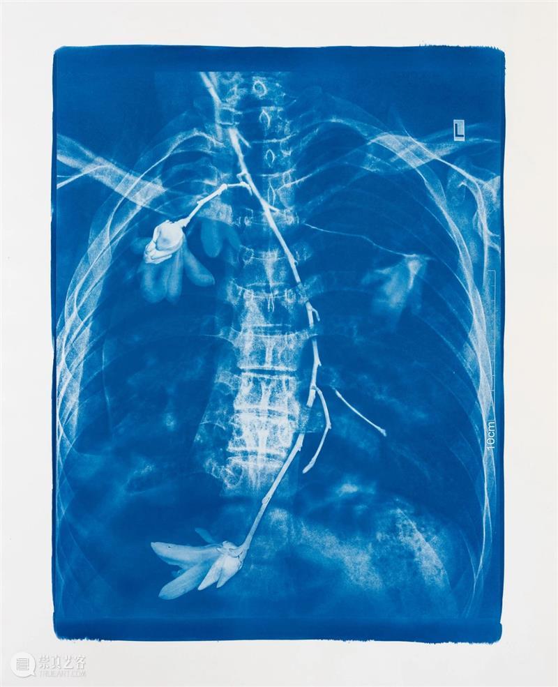 胡为一 ：“积聚与生成——2020上海当代艺术展”参展艺术家 艺术家 上海 艺术展 作品 Works 无痕 液晶显示器 铝合金 窗框 钢化玻璃 崇真艺客
