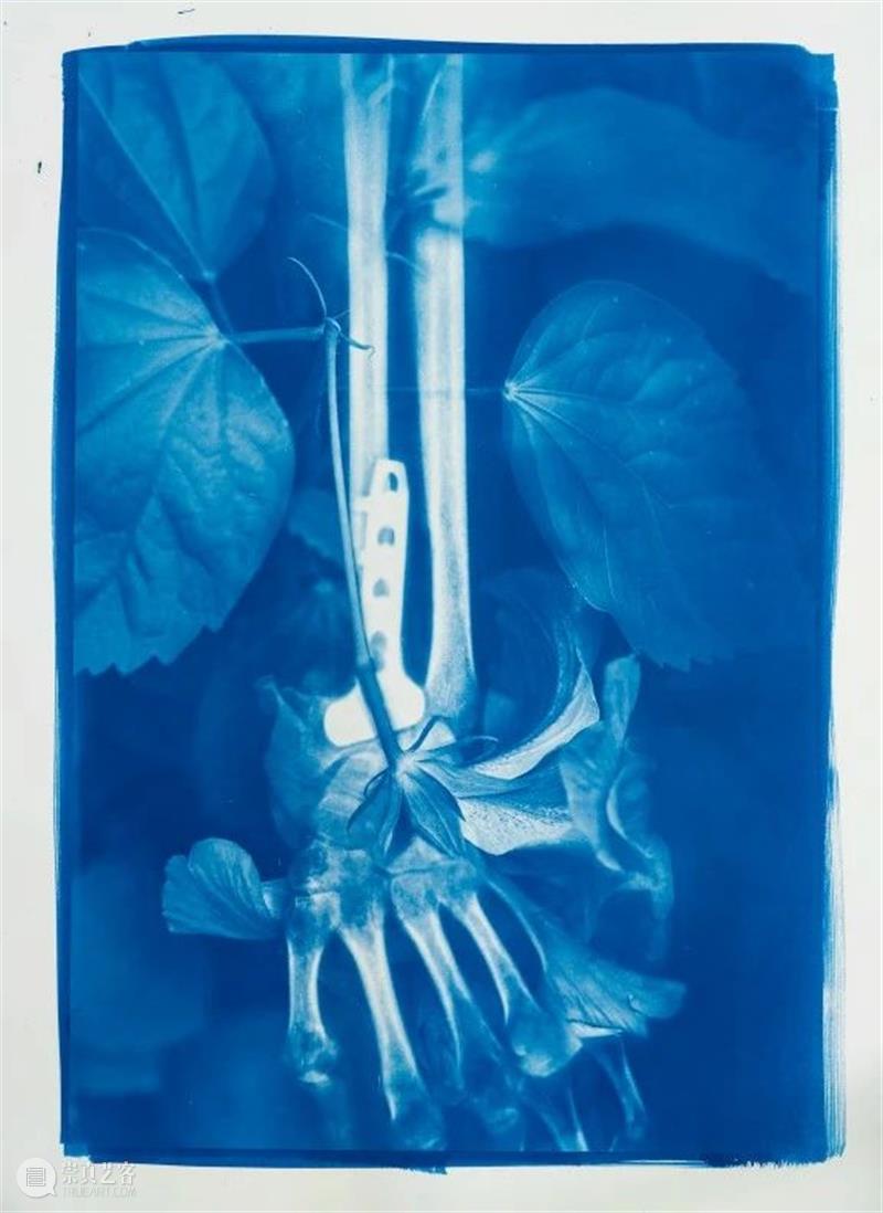 胡为一 ：“积聚与生成——2020上海当代艺术展”参展艺术家 艺术家 上海 艺术展 作品 Works 无痕 液晶显示器 铝合金 窗框 钢化玻璃 崇真艺客