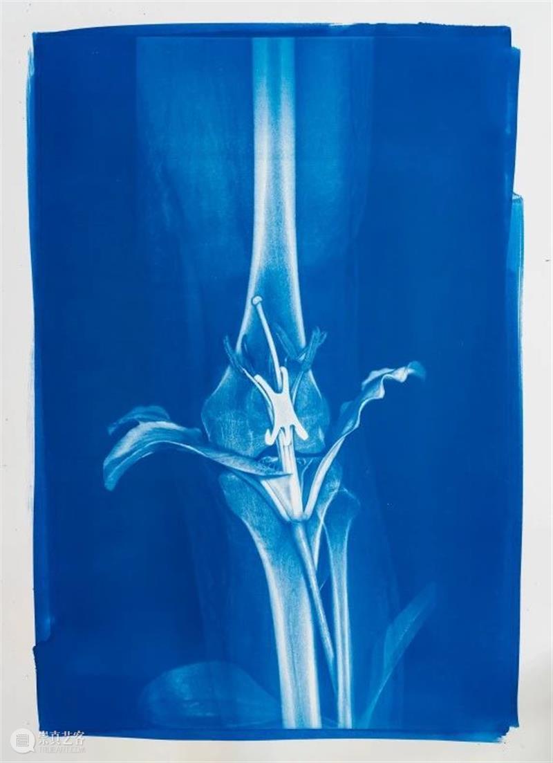 胡为一 ：“积聚与生成——2020上海当代艺术展”参展艺术家 艺术家 上海 艺术展 作品 Works 无痕 液晶显示器 铝合金 窗框 钢化玻璃 崇真艺客