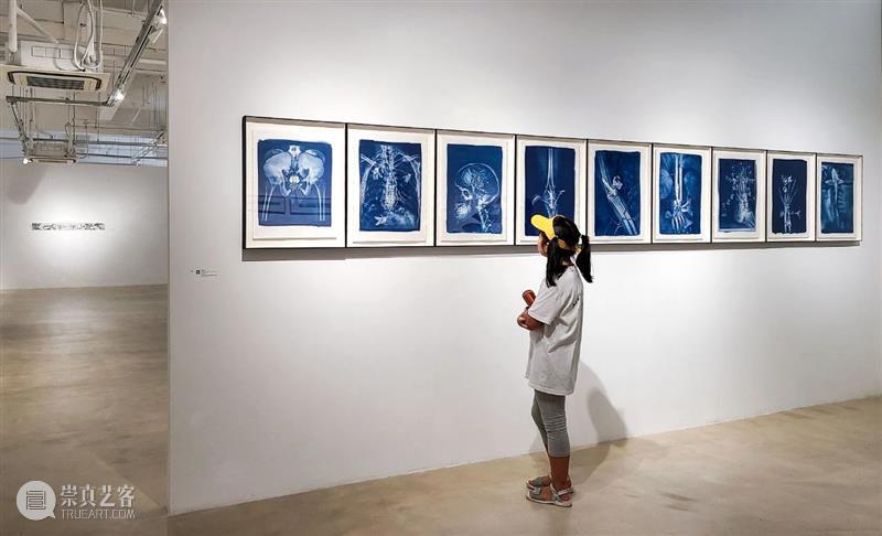 胡为一 ：“积聚与生成——2020上海当代艺术展”参展艺术家 艺术家 上海 艺术展 作品 Works 无痕 液晶显示器 铝合金 窗框 钢化玻璃 崇真艺客