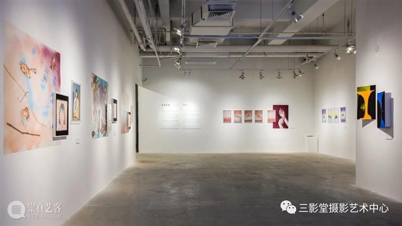 【明日开幕】党佳慧个展——亲密关系 | 无界展览 亲密关系 党佳慧 个展 无界 艺术 主题 艺术家 图像 语言 关系 崇真艺客