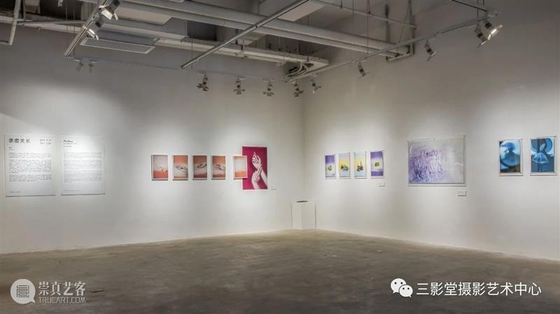 【明日开幕】党佳慧个展——亲密关系 | 无界展览 亲密关系 党佳慧 个展 无界 艺术 主题 艺术家 图像 语言 关系 崇真艺客