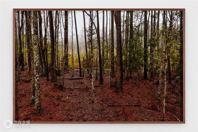 立木画廊艺术家特殊项目 + 线上展厅 | 与 Catherine Opie 一起出发 Opie 画廊 艺术家 项目 线上 展厅 于嘉芙莲·奥比 家人 全美 公路 崇真艺客