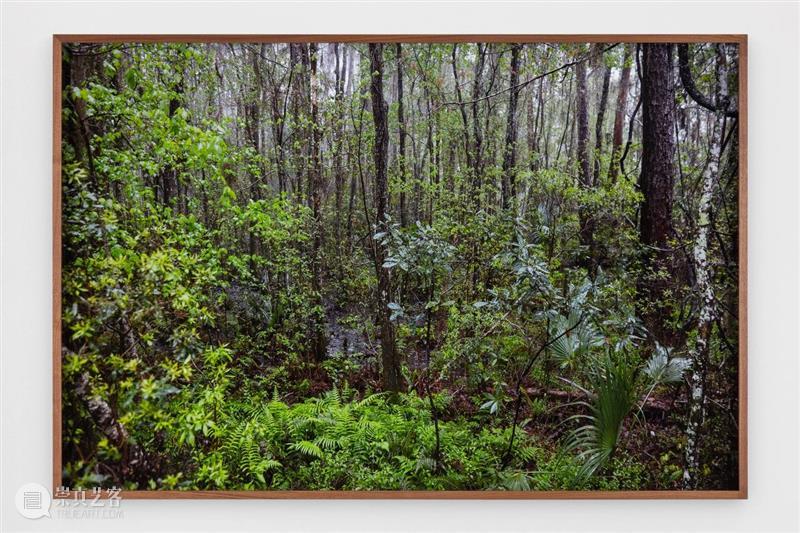 立木画廊艺术家特殊项目 + 线上展厅 | 与 Catherine Opie 一起出发 Opie 画廊 艺术家 项目 线上 展厅 于嘉芙莲·奥比 家人 全美 公路 崇真艺客