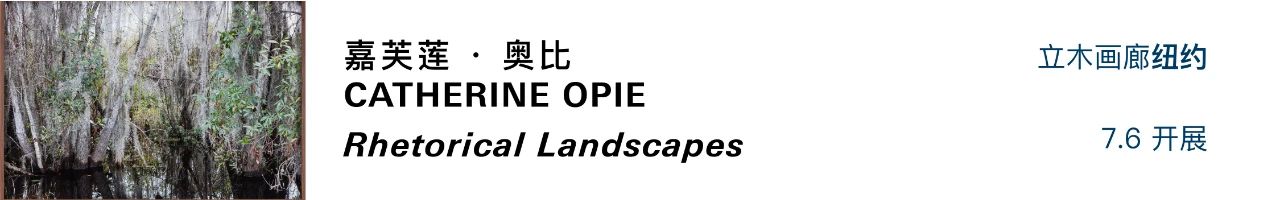 立木画廊艺术家特殊项目 + 线上展厅 | 与 Catherine Opie 一起出发 Opie 画廊 艺术家 项目 线上 展厅 于嘉芙莲·奥比 家人 全美 公路 崇真艺客