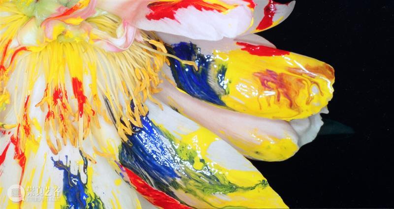 以花之名 | 荒木经惟&张子飘:花与欲望、挣扎、愉悦、狂喜及其他 荒木经惟 张子飘 欲望 明珠美术馆 公众 观众 当下 景况 诗意 花儿 崇真艺客