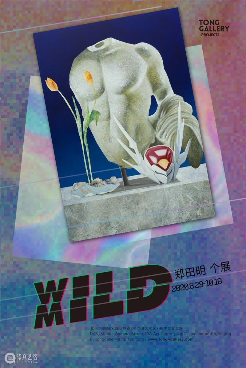 博览会｜Tong Gallery+Projects参展2020艺术深圳｜展位B02 艺术 深圳 展位 Gallery+Projects Gallery+Projects荣幸 博览会 谭平 张小黎 刘聪 王画 崇真艺客