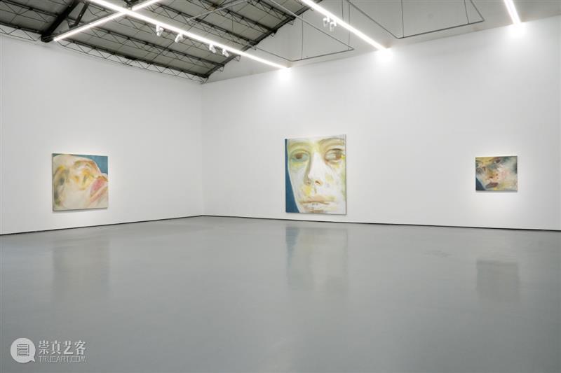 AIKE 现场 | 姜琤个展“U” 姜琤 个展 AIKE 现场 系列 绘画 作品 名称 作品名 You 崇真艺客