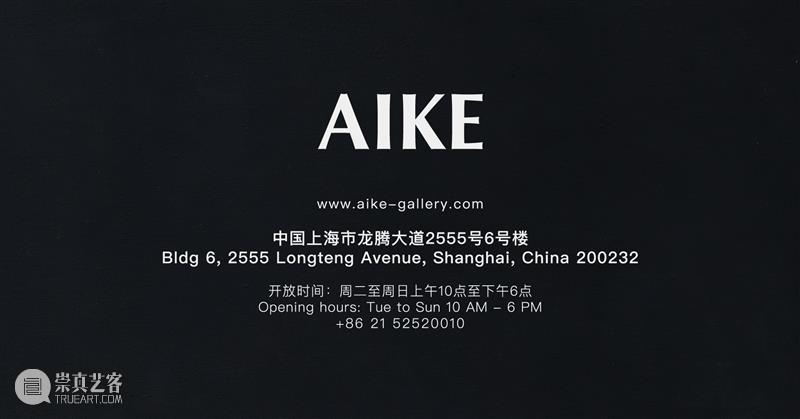 AIKE 现场 | 姜琤个展“U” 姜琤 个展 AIKE 现场 系列 绘画 作品 名称 作品名 You 崇真艺客