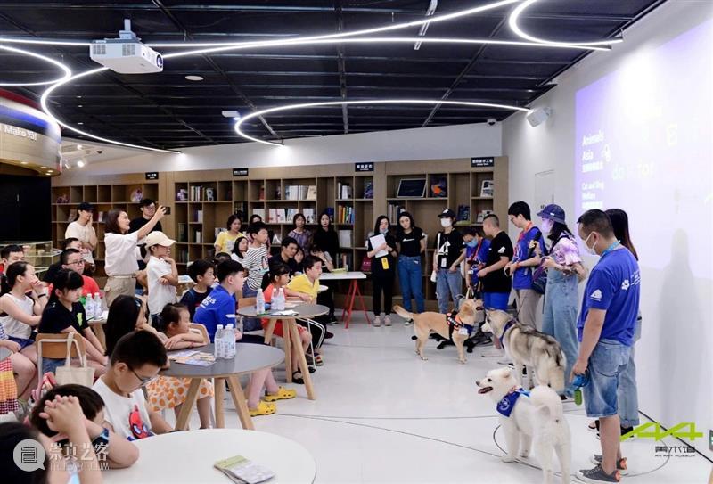 iSTART|听孩子们说,“爱它”! 孩子们 麓湖 A4美术馆 亚洲 动物 基金 iSTART 儿童 艺术节 学校 崇真艺客