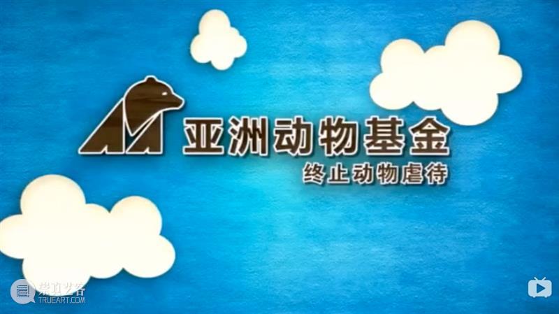 iSTART|听孩子们说,“爱它”! 孩子们 麓湖 A4美术馆 亚洲 动物 基金 iSTART 儿童 艺术节 学校 崇真艺客