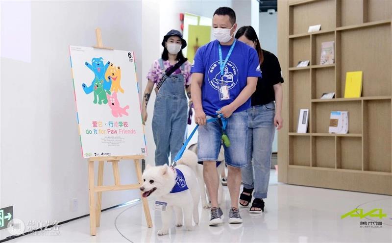 iSTART|听孩子们说,“爱它”! 孩子们 麓湖 A4美术馆 亚洲 动物 基金 iSTART 儿童 艺术节 学校 崇真艺客