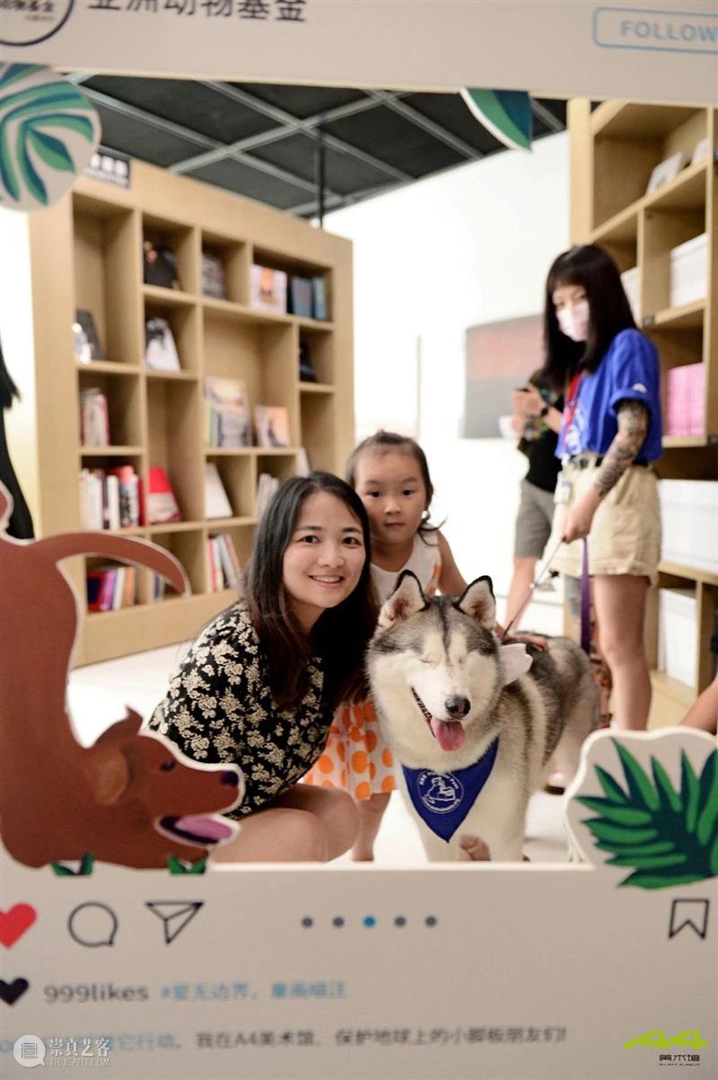 iSTART|听孩子们说,“爱它”! 孩子们 麓湖 A4美术馆 亚洲 动物 基金 iSTART 儿童 艺术节 学校 崇真艺客