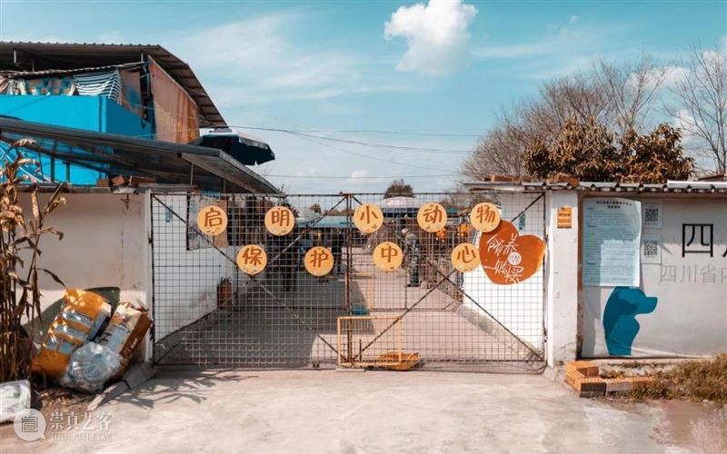iSTART|听孩子们说,“爱它”! 孩子们 麓湖 A4美术馆 亚洲 动物 基金 iSTART 儿童 艺术节 学校 崇真艺客