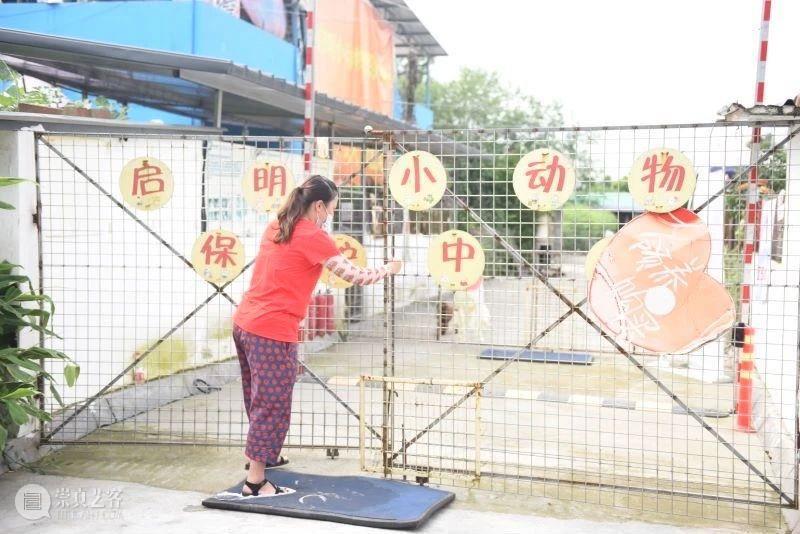 iSTART|听孩子们说,“爱它”! 孩子们 麓湖 A4美术馆 亚洲 动物 基金 iSTART 儿童 艺术节 学校 崇真艺客