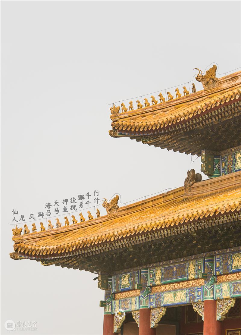 拆开太和殿，你会看到什么？ 太和殿 故宫 皇家 宫殿 贡献 人们 系列 专题 第二期 面积 崇真艺客