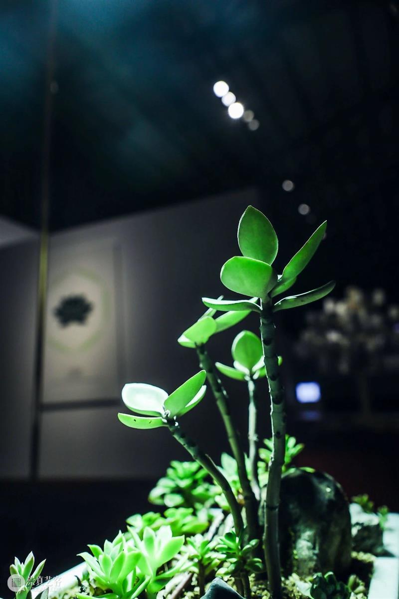 [ OCAT深圳馆 | 开幕回顾 ]南方不是一座孤岛 南方 孤岛 深圳馆 OCAT 展览 项目 樊林和 方立华 团队 助理 崇真艺客