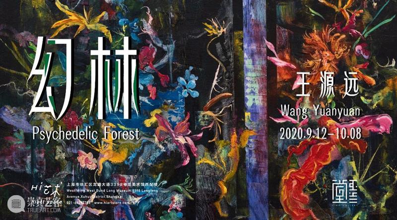 图集｜巴洛克的蓝丝绒 巴洛克 蓝丝绒 图集 董鹤 个展 展期 时间 电话 地址 北京市朝阳区 崇真艺客