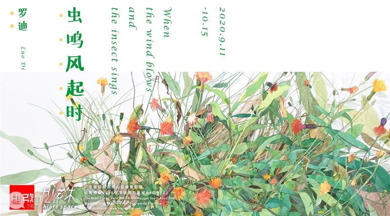 图集｜巴洛克的蓝丝绒 巴洛克 蓝丝绒 图集 董鹤 个展 展期 时间 电话 地址 北京市朝阳区 崇真艺客