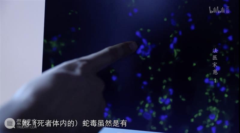 《法医宋慈》：看这部纪录片，需要胆量 纪录片 法医宋慈 胆量 电视剧 豆瓣 But 小编 悬疑 剧集 世界 崇真艺客
