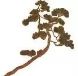 PAM开卷有艺·读画（九）| 赵孟頫绘画的古意与新变：由《幼舆丘壑图》说起 古意 赵孟 绘画 幼舆丘壑图 开卷 PAM 读画 今人 能手 百病 崇真艺客