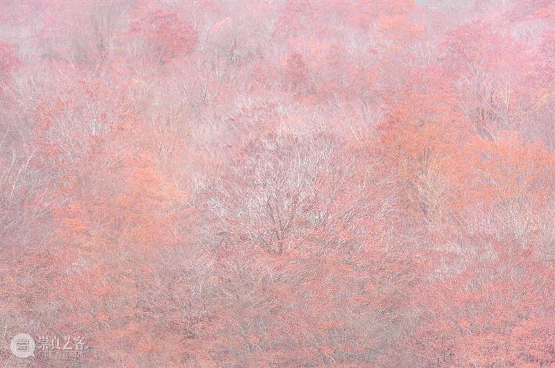 问象通知|《原风景》展期延长至9月15日 通知 展期 原风景 艺术 空间 艺术家 星野裕 个展 原風景 Duration 崇真艺客