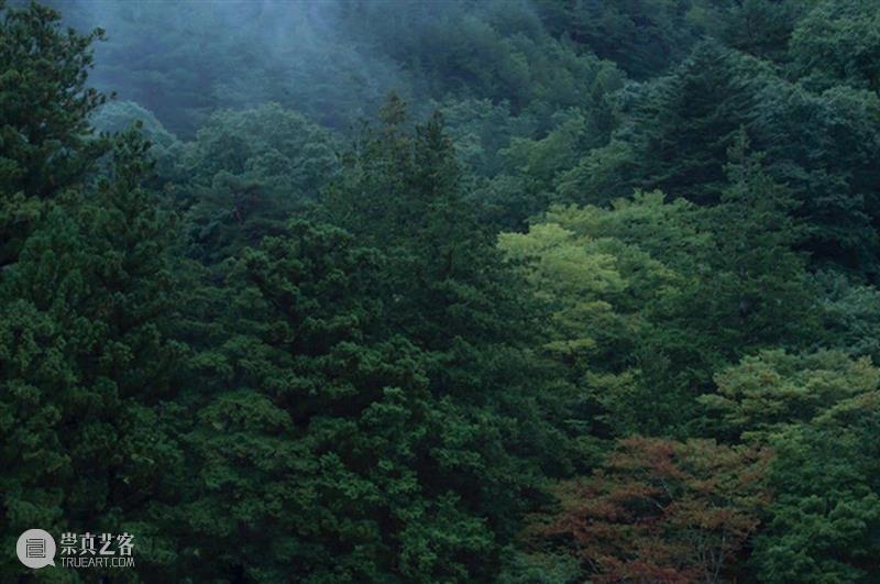 问象通知|《原风景》展期延长至9月15日 通知 展期 原风景 艺术 空间 艺术家 星野裕 个展 原風景 Duration 崇真艺客