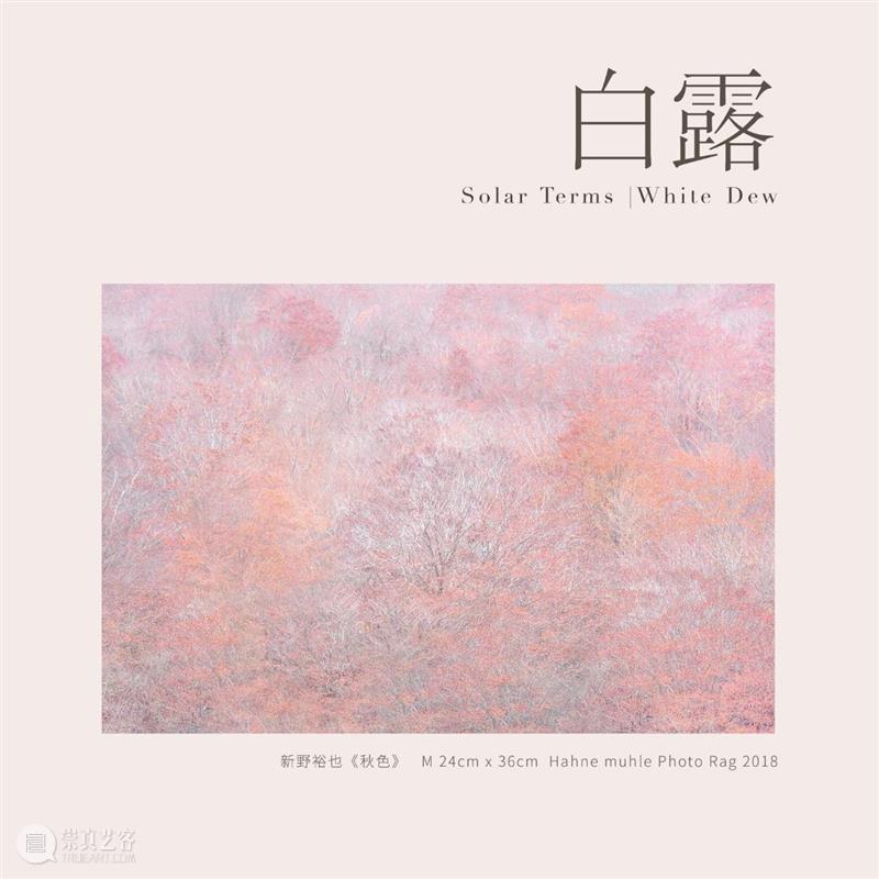 白露｜凑近波浪的耳朵 波浪 耳朵 白露 节点 源头 天空 空气 地中海 音调 大气 崇真艺客
