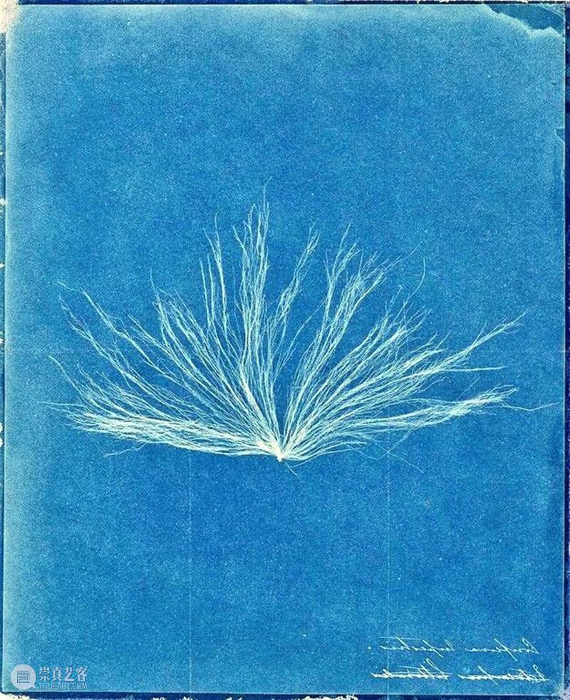 摄影工坊Vol. 1：走近最古老摄影工艺“蓝晒” 工艺 工坊 Vol 宁静 蓝色 手作 布料 扎染 蓝染 KIDS造相馆摄影工坊第一期蓝晒时装秀Cyanotype 崇真艺客