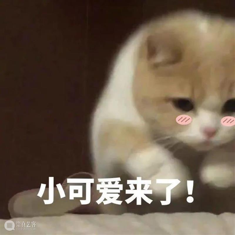 《八佰》英国定档;郑秀文蔡卓妍新片网络上线 八佰 英国 新片 郑秀文 蔡卓妍 网络 影视 好剧 小豆 花木兰 崇真艺客
