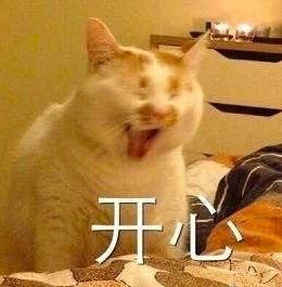 《八佰》英国定档；郑秀文蔡卓妍新片网络上线 八佰 英国 新片 郑秀文 蔡卓妍 网络 影视 好剧 小豆 花木兰 崇真艺客