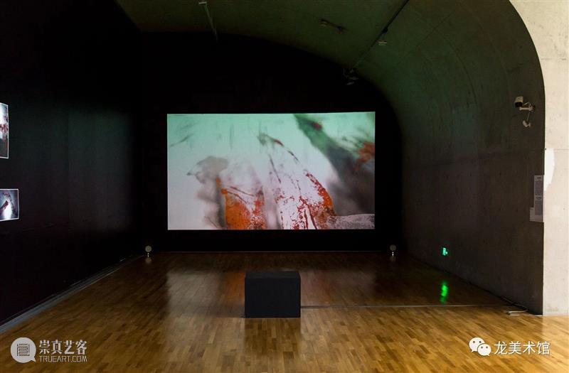 LONG视频 | 呼吸/肢体 2020 肢体 视频 LONG 龙美术馆 西岸 王璜生 个展 袁绍 工作室 青年 崇真艺客
