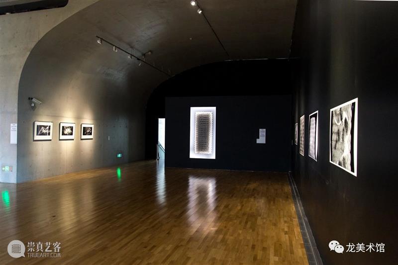 LONG视频 | 呼吸/肢体 2020 肢体 视频 LONG 龙美术馆 西岸 王璜生 个展 袁绍 工作室 青年 崇真艺客