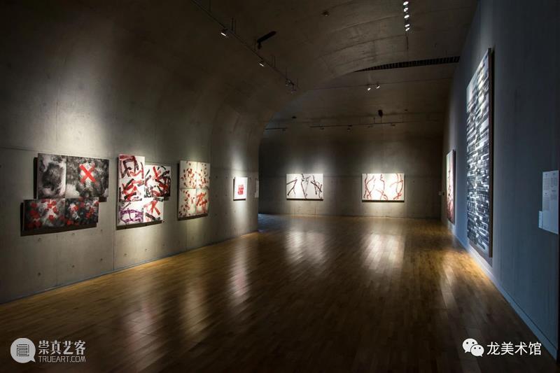 LONG视频 | 呼吸/肢体 2020 肢体 视频 LONG 龙美术馆 西岸 王璜生 个展 袁绍 工作室 青年 崇真艺客