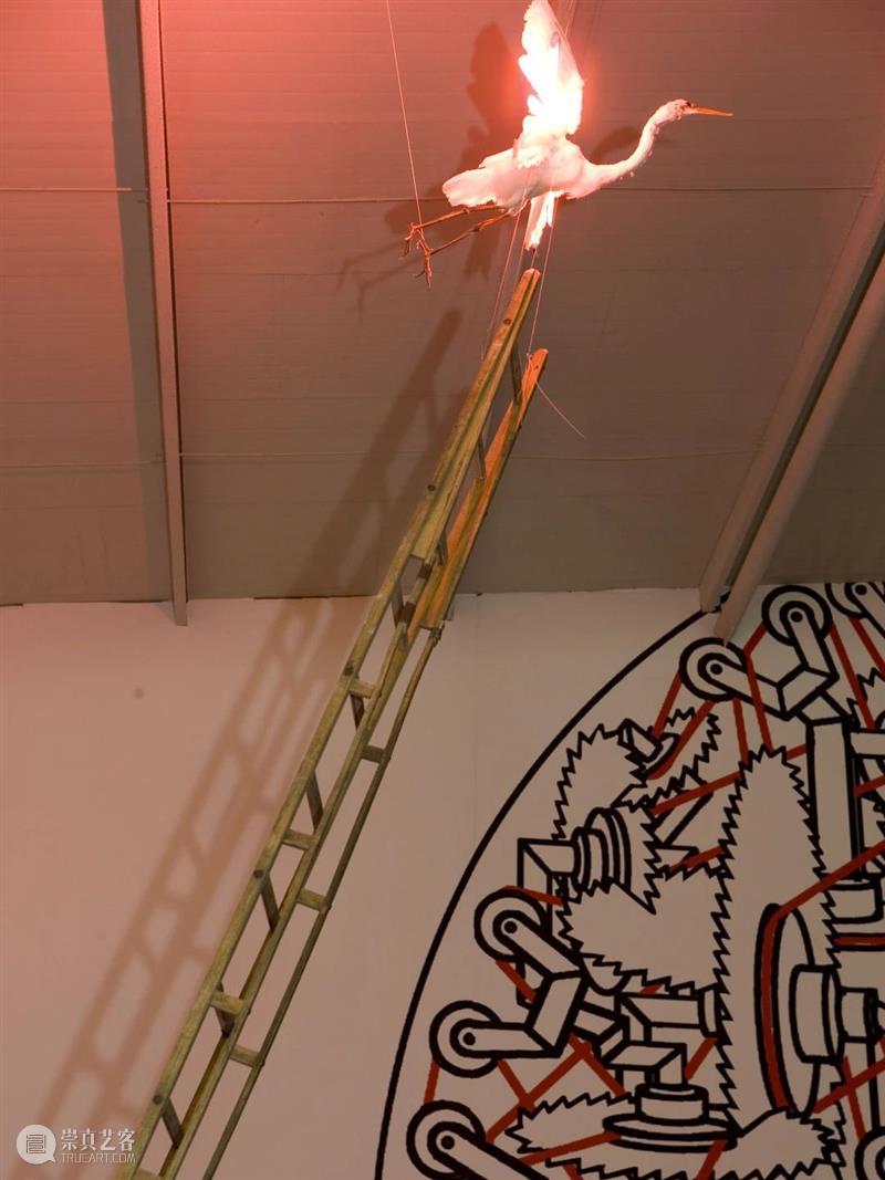 林大档案 | 展览: 悬在空中 浮于表面 林大 档案 表面 林大艺术中心 活动 文献 出版物 作品 历史 艺术 崇真艺客