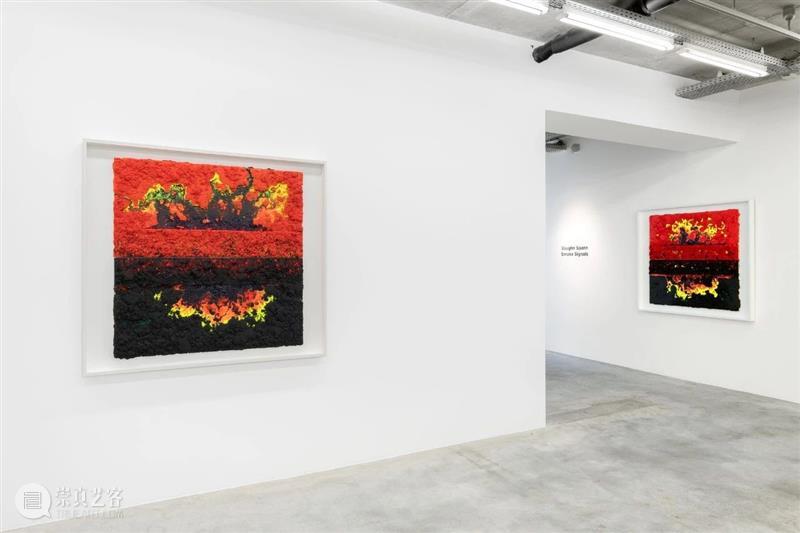 展览现场 | 沃恩· 斯班(Vaughn Spann)「狼烟」@ 阿尔敏·莱希布鲁塞尔 莱希 布鲁塞尔 沃恩 Vaughn Spann 狼烟 阿尔敏 现场 沃恩·斯班 北极星 崇真艺客